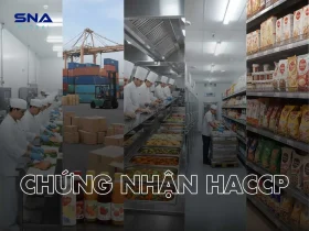 chứng nhận haccp codex 2022
