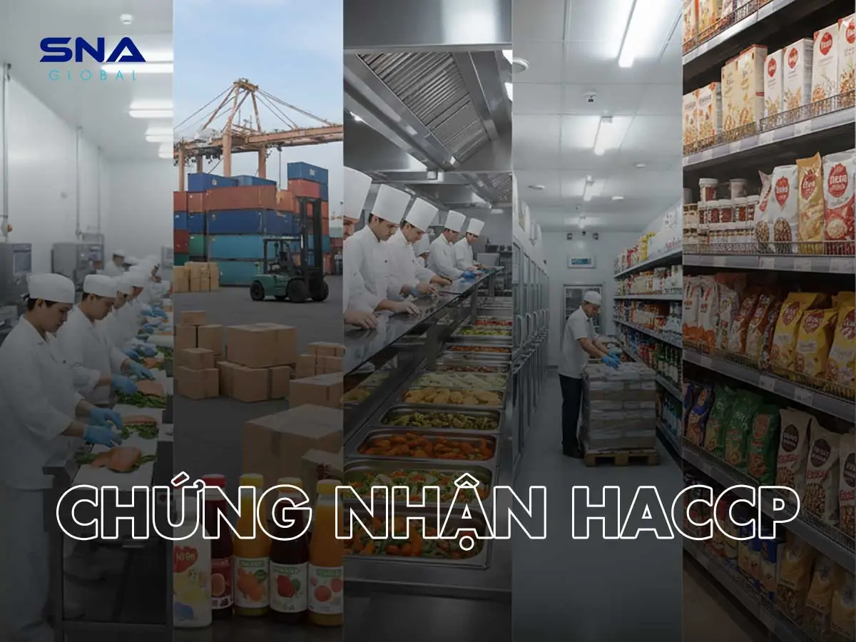 chứng nhận haccp codex 2022