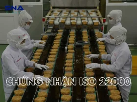 chứng nhận ISO 22000