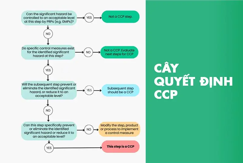 Nguyên Tắc 2: Xác Định CCP