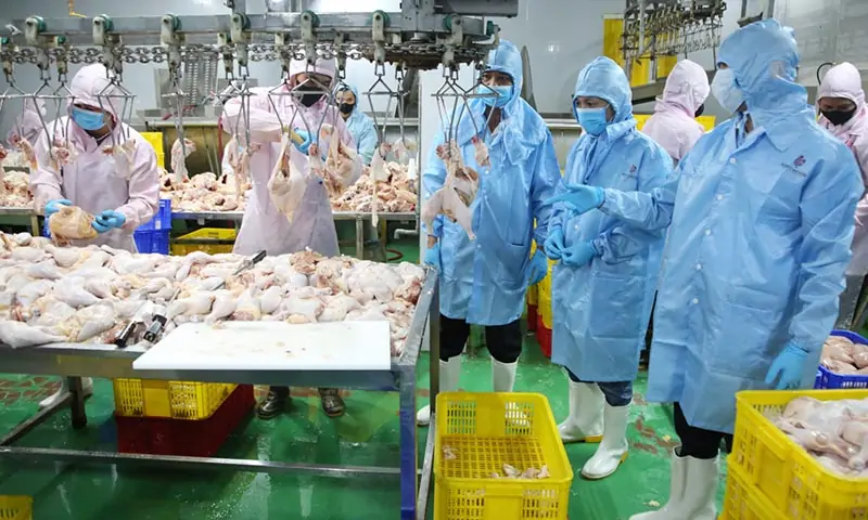 Lợi ích thiết thực khi triển khai HACCP