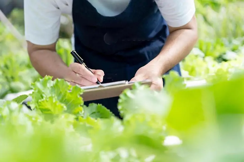 HACCP: Hướng tới sự bền vững