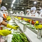 các tiêu chuẩn vệ sinh an toàn thực phẩm