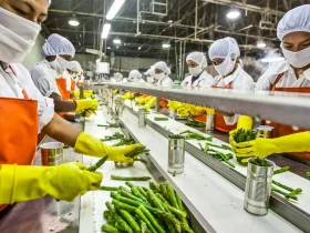 các tiêu chuẩn vệ sinh an toàn thực phẩm