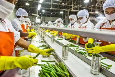 các tiêu chuẩn vệ sinh an toàn thực phẩm
