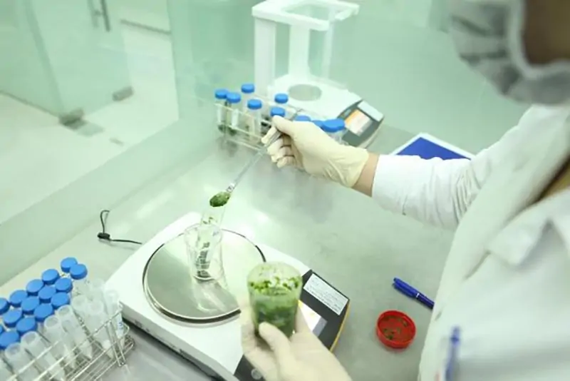 Kiểm soát bằng phân tích và chứng nhận