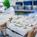Chứng nhận ISO 22000 cho nhà máy chế biến thực phẩm