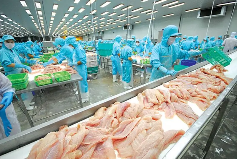 Dịch vụ chứng nhận ISO 22000 cho nhà máy chế biến thực phẩm