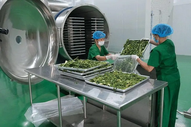 Quy trình chứng nhận ISO 22000 cho nhà máy chế biến thực phẩm