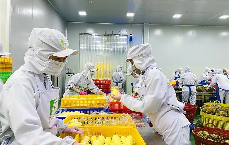 Tại sao nên chọn SNA Global?