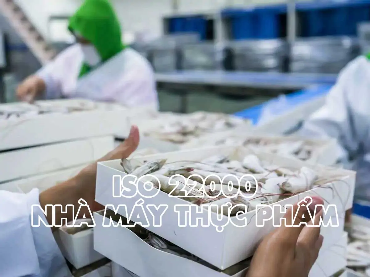 Chứng nhận ISO 22000 cho nhà máy chế biến thực phẩm